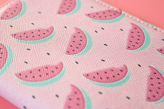 Fruits passport cover (4)